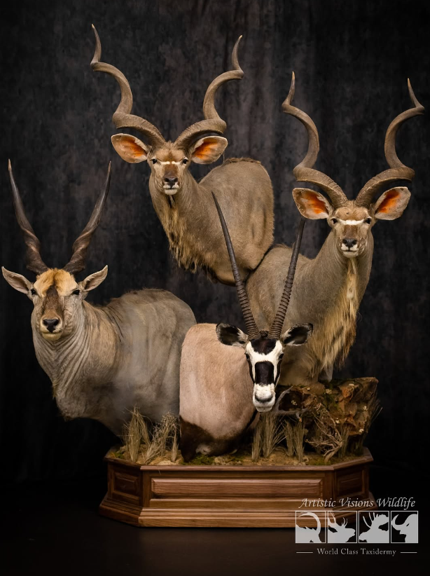 Schwarzer abstrakter Fotografie-Hintergrund für Studio D189