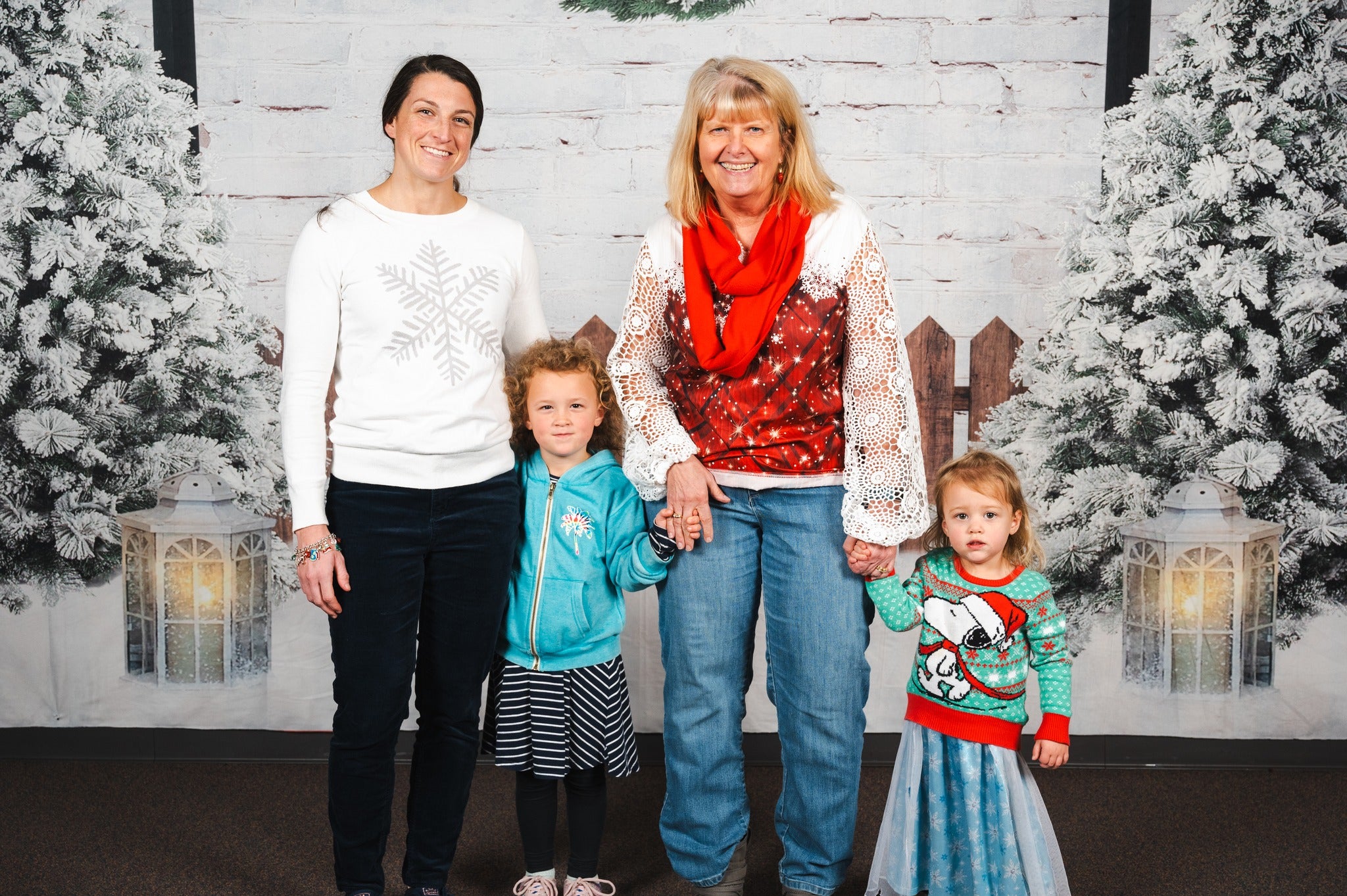 Weihnachten Gartenlichter Fotoshooting Hintergrund D871