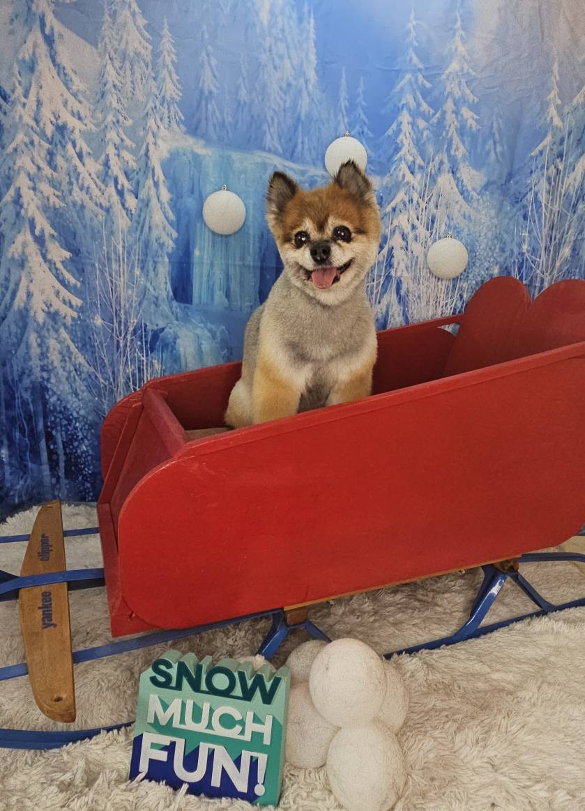 Wunderland Winter Schnee Hintergrund GG3