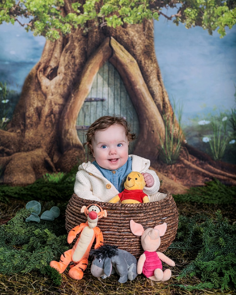 Waldhintergrund Verzauberter Baumstamm Tür Fotohintergrund für Neugeborenenfotografie MRR9-72