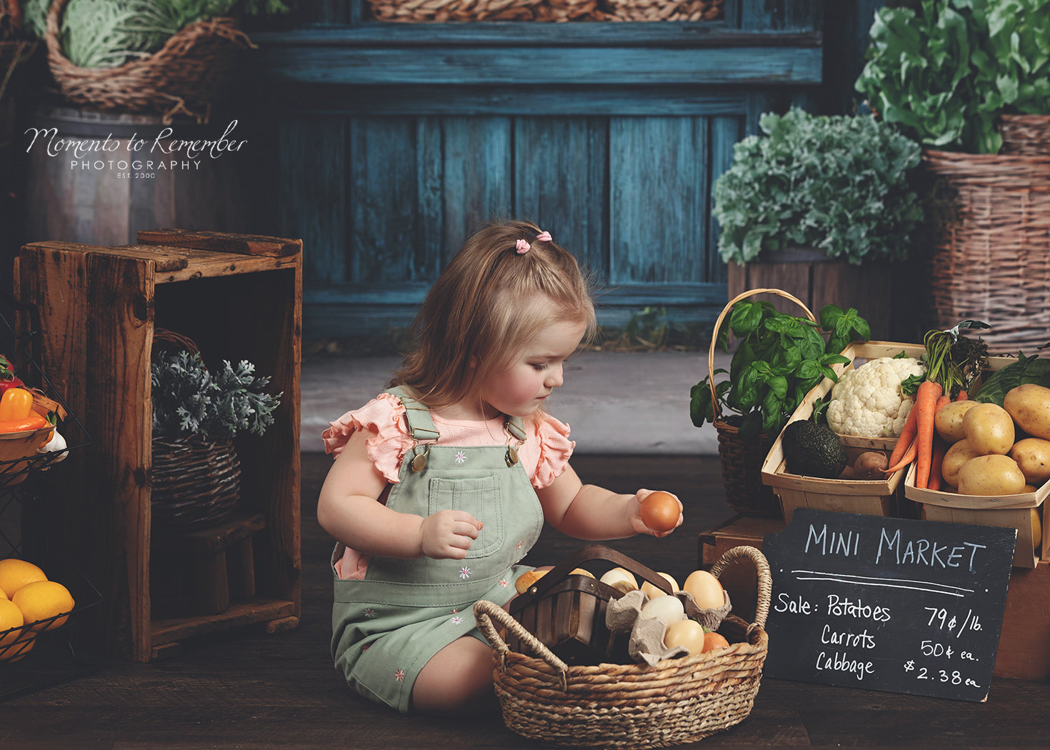 Frühling Fotohintergrund Rustikaler Lebensmittelhändler Bauernhof Fensterhintergrund LXX1-153