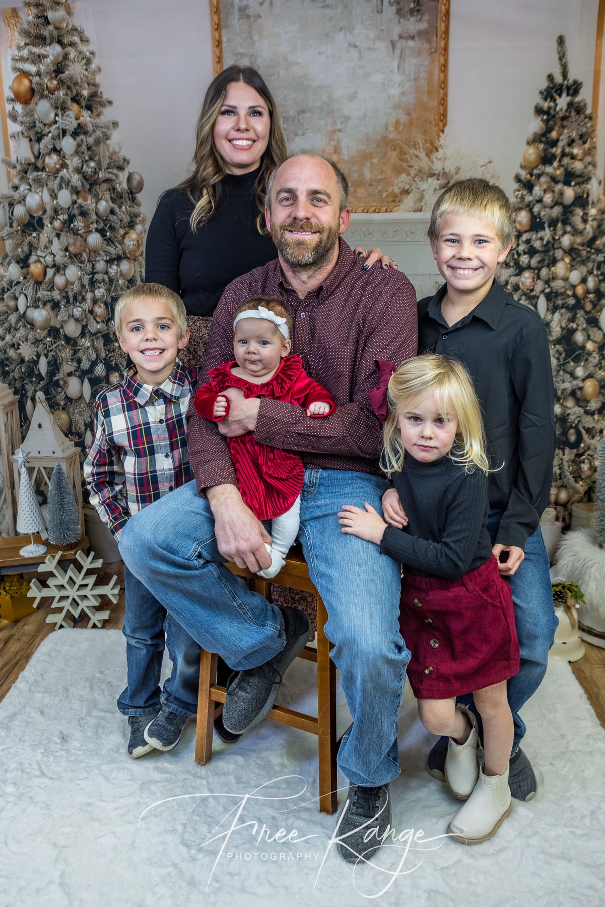 Weihnachtsfeiertags Fotografie Studio Hintergrund D816