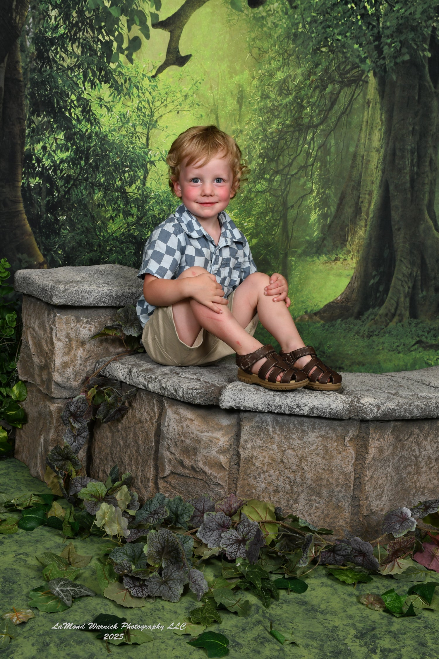 Grüner Hintergrund des großen Waldes des geheimen Waldes für Fotostudio LV-837