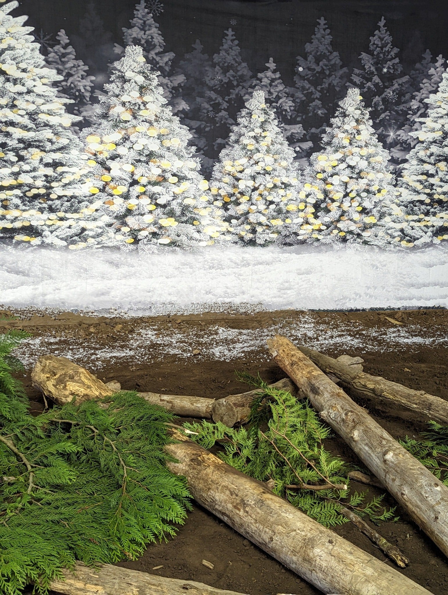 Weihnachtsnacht Wald Schnee Fotografie Hintergrund D893