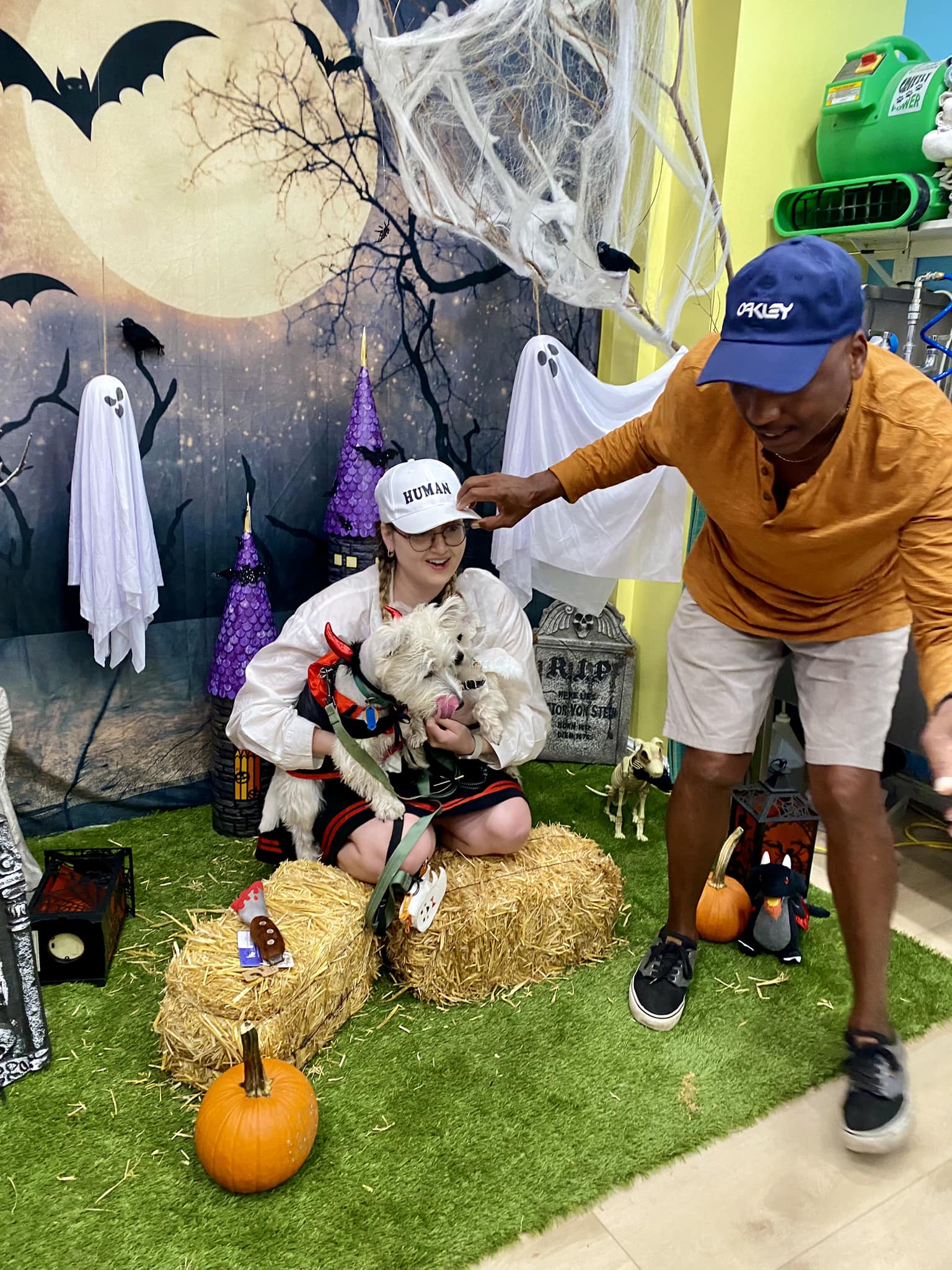 Halloween Hintergründe Festival Hintergründe Nacht Hintergrund Mond und Fledermäuse Hintergrund DBD-H19004