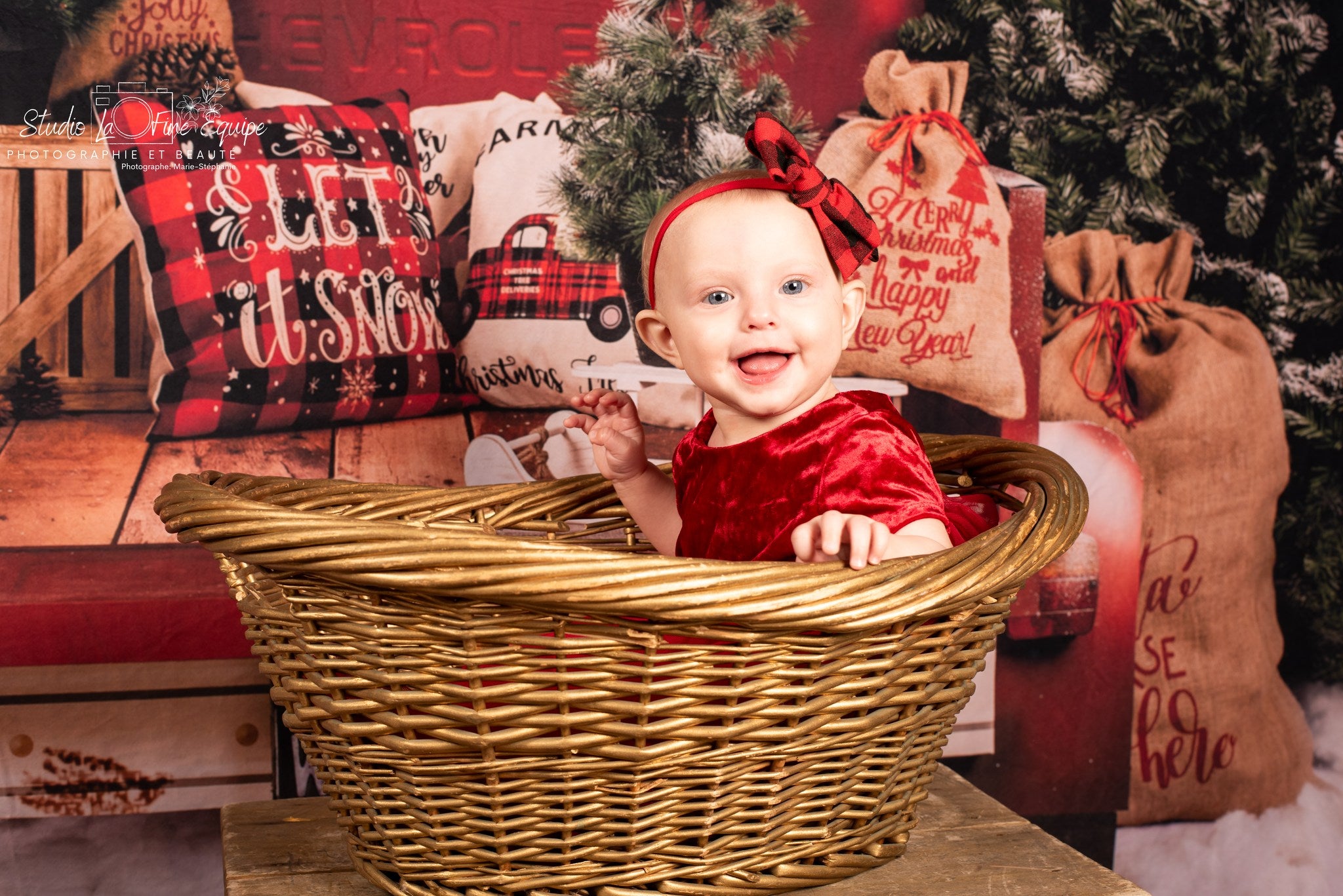 Roter Auto-Weihnachtsbaum-Fotografie-Hintergrund SH-960