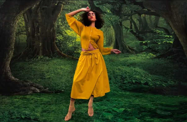 Grüner Hintergrund des großen Waldes des geheimen Waldes für Fotostudio LV-837