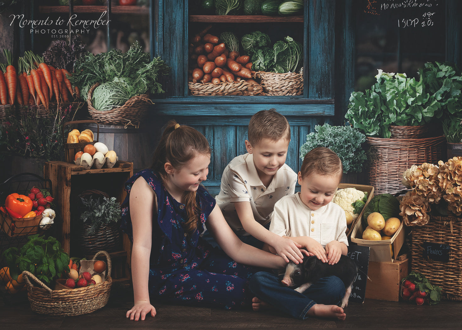 Frühling Fotohintergrund Rustikaler Lebensmittelhändler Bauernhof Fensterhintergrund LXX1-153