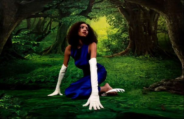 Grüner Hintergrund des großen Waldes des geheimen Waldes für Fotostudio LV-837