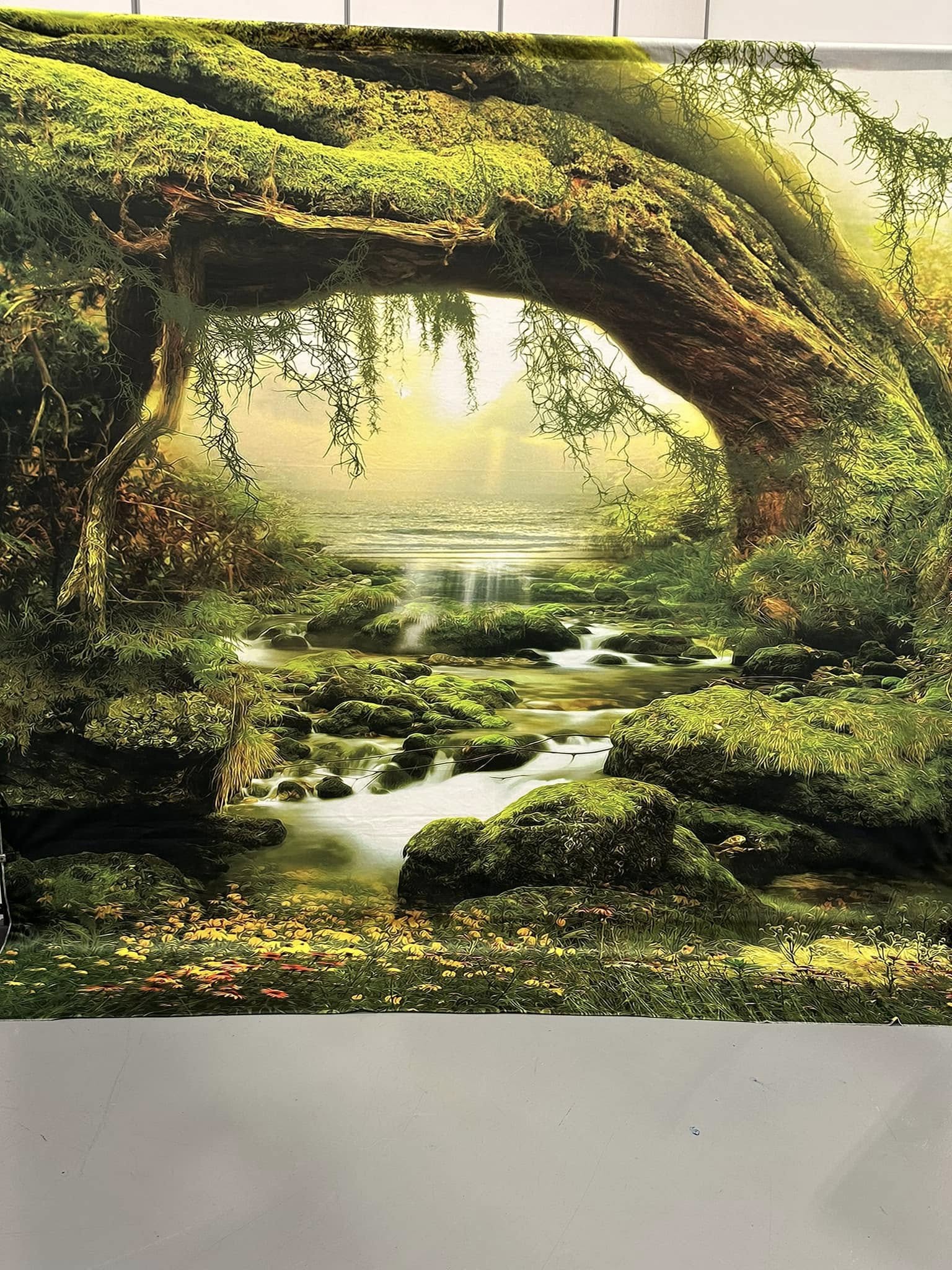 Großer Baum Bach Wald Fotografie Hintergrund F-165