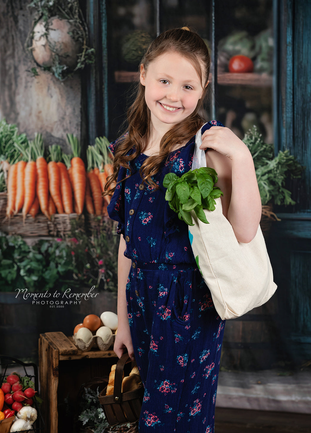 Frühling Fotohintergrund Rustikaler Lebensmittelhändler Bauernhof Fensterhintergrund LXX1-153