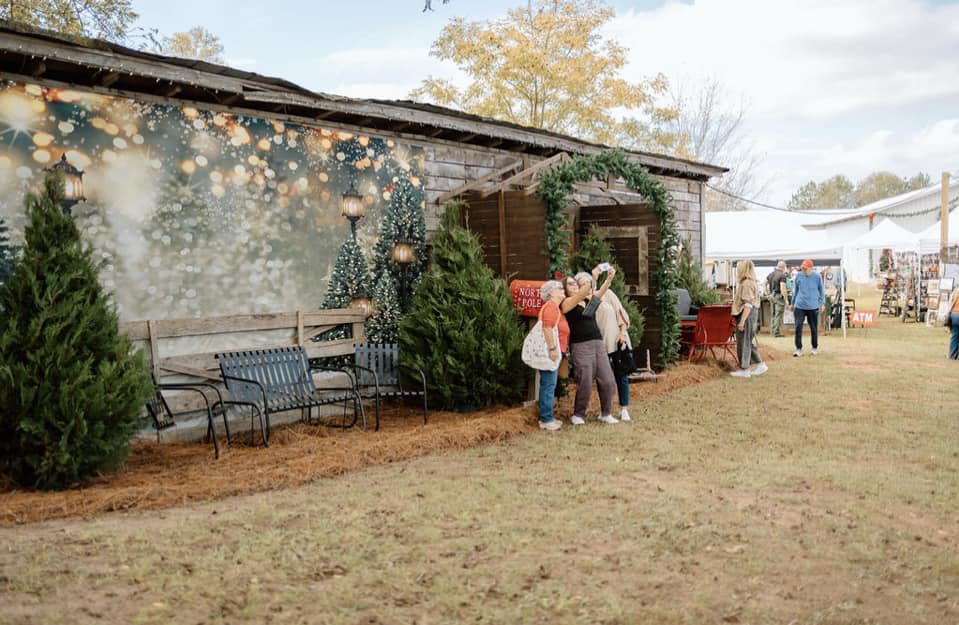 Weihnachtsbäume Lichter Blinkende Hintergründe G-1440