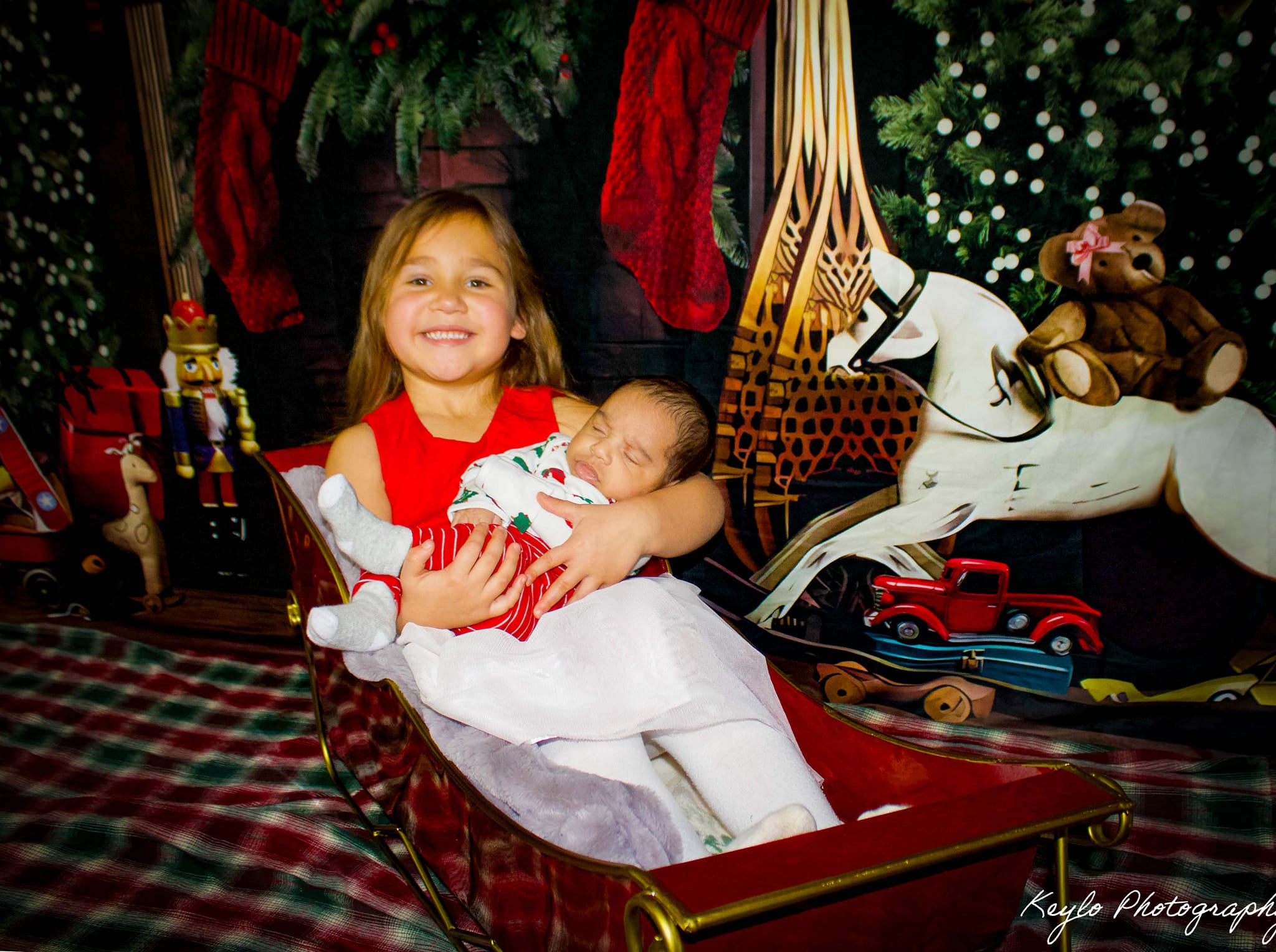 Weihnachtsbäume Raumdekoration Hintergrund für Fotografie G-1434