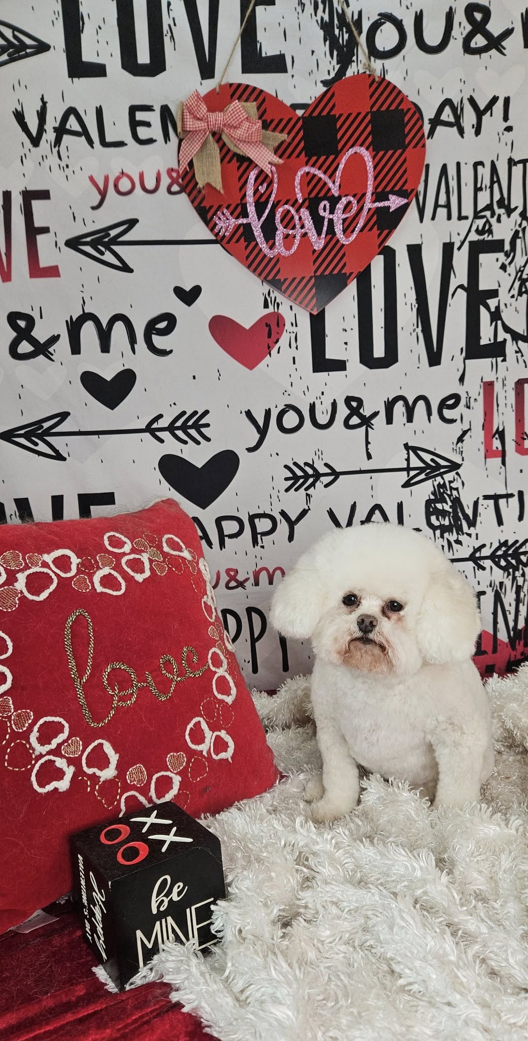 Valentinstag Amors Pfeil Romantischer Text Graffiti Wand Holzboden Hintergrund M12-19