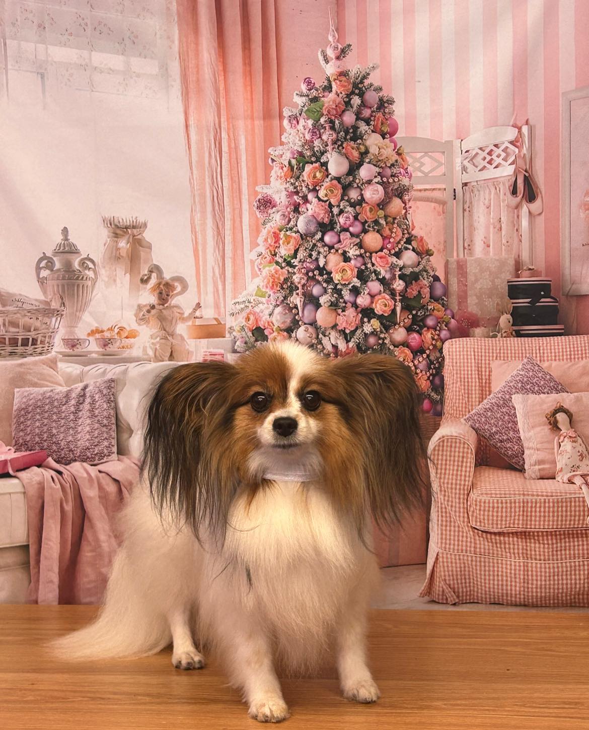 Rosa Weihnachtsbaum Kamin Sofa Dekor Hintergrund M6-143