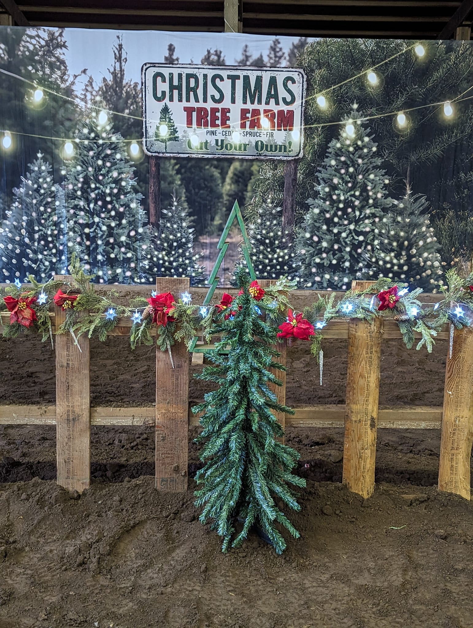 Weihnachtsbaum Bauernhof Lichterketten Hintergrund für Fotografie D830