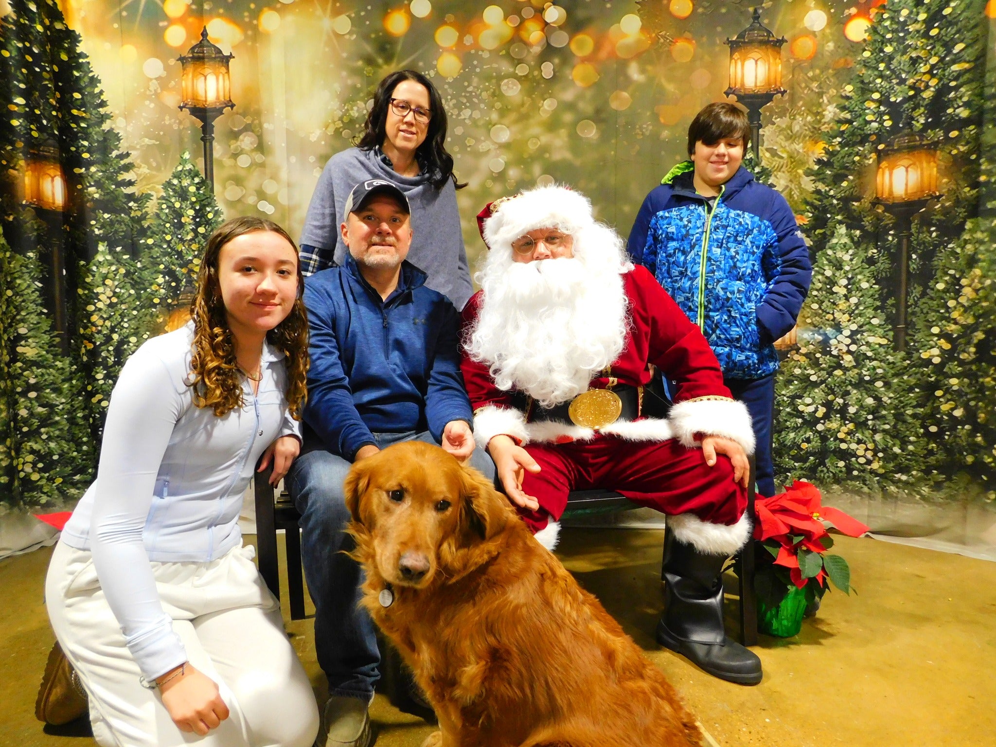 Weihnachtsbäume Lichter Blinkende Hintergründe G-1440