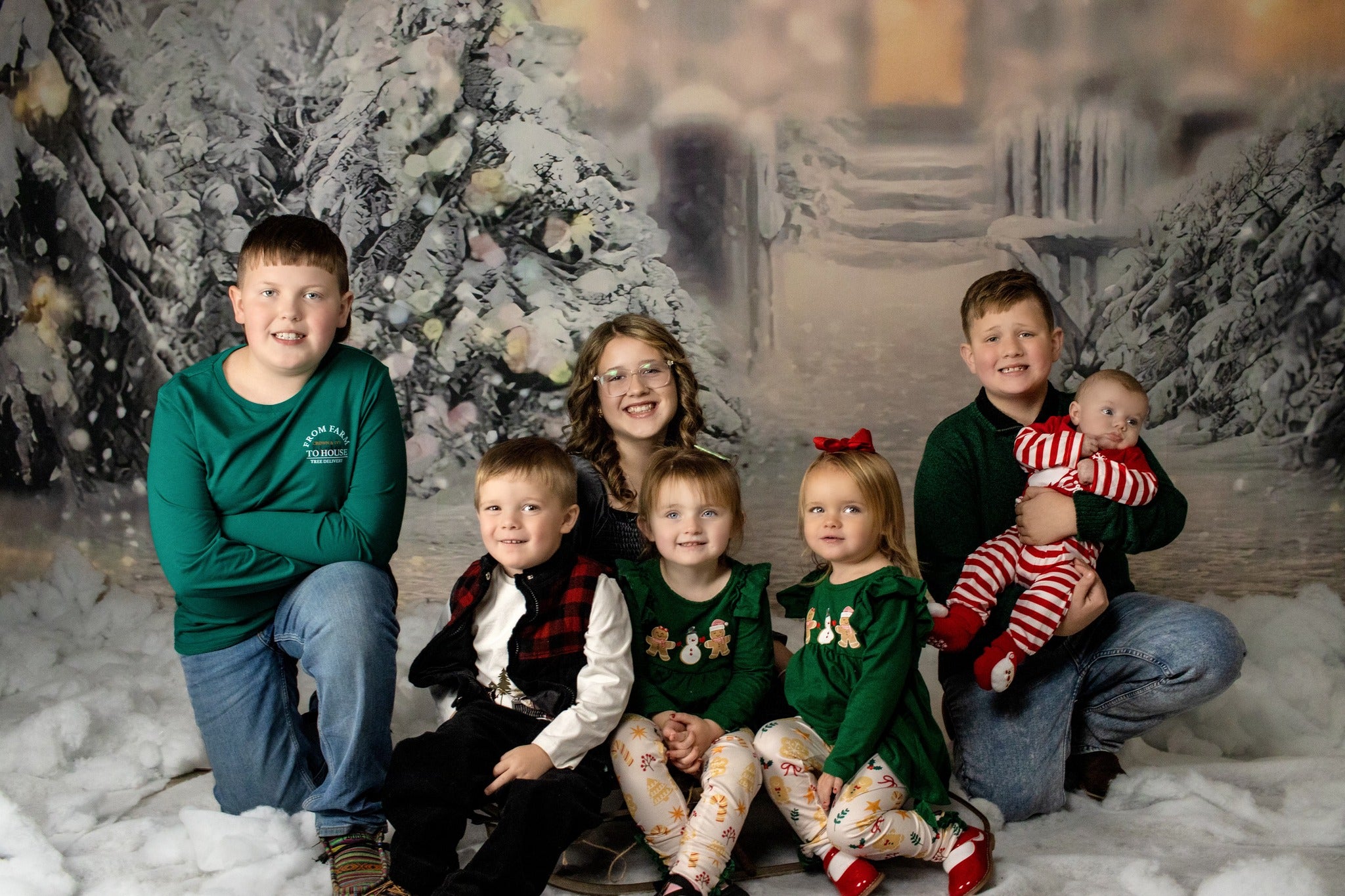 Winter Schnee Weihnachtsbaum Bokeh Hintergrund für Fotostudio G-1194