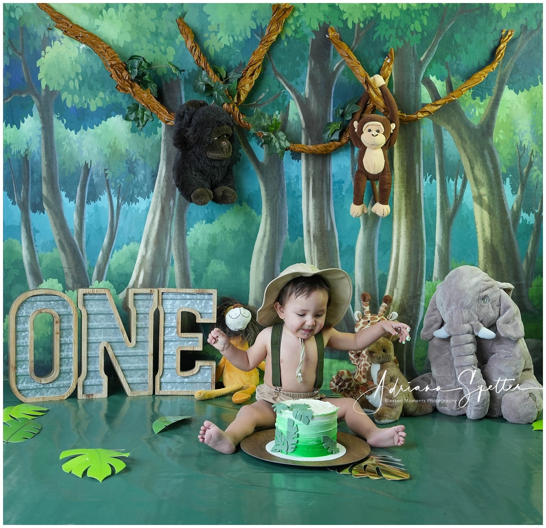 Neugeborenen-Hintergrund Verzauberter Wald Bäume Kinder-Fotohintergrund MRR10-24