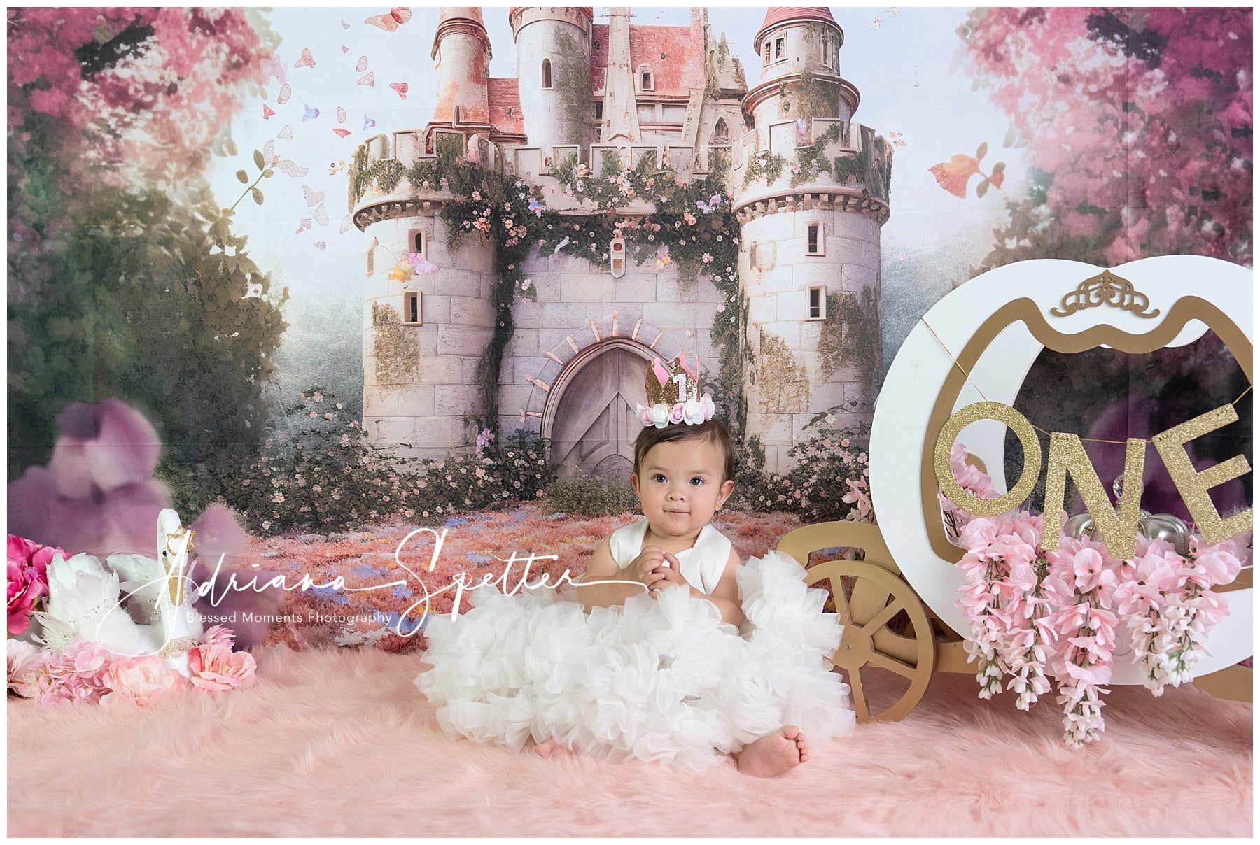Fotohintergrund Schloss Märchen Schmetterlingsschloss Fotohintergrund für Neugeborene MRR9-118