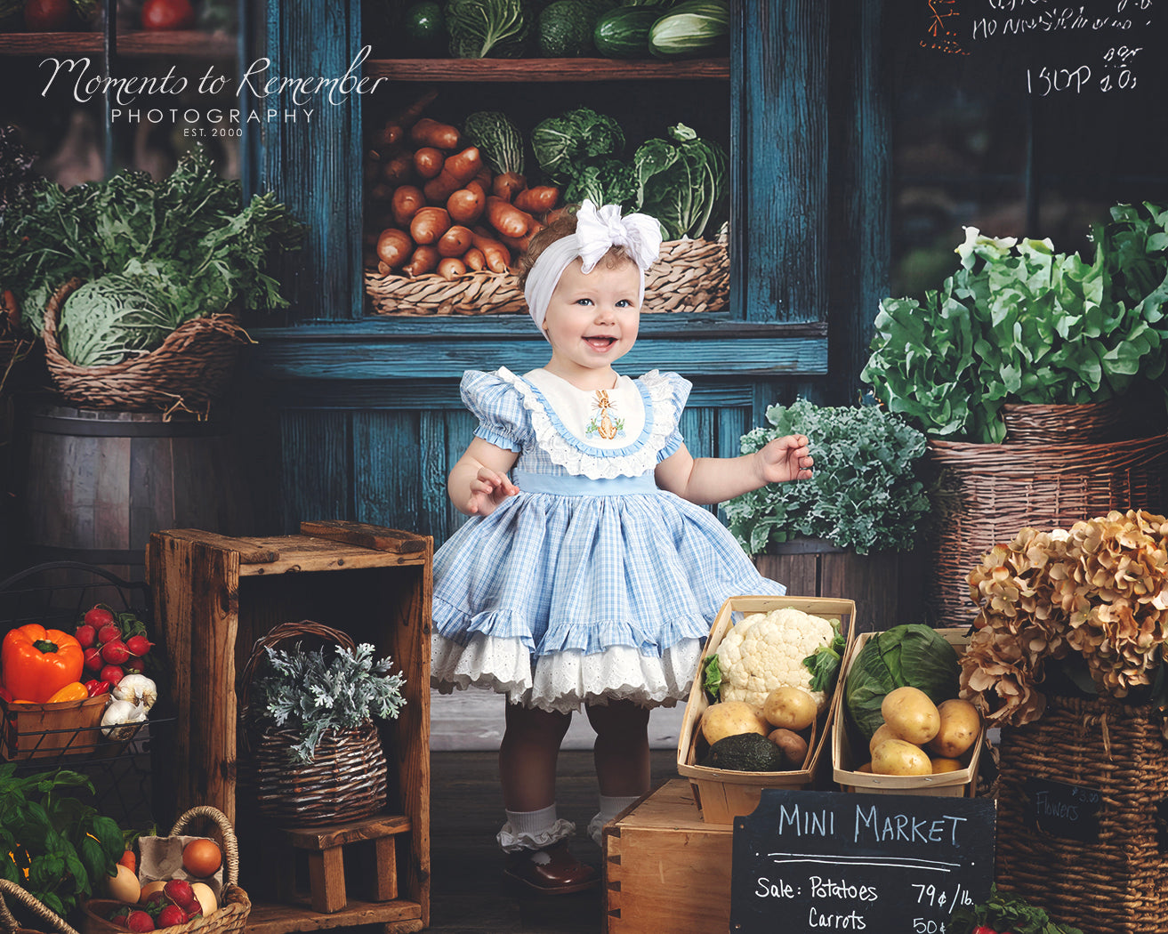 Frühling Fotohintergrund Rustikaler Lebensmittelhändler Bauernhof Fensterhintergrund LXX1-153