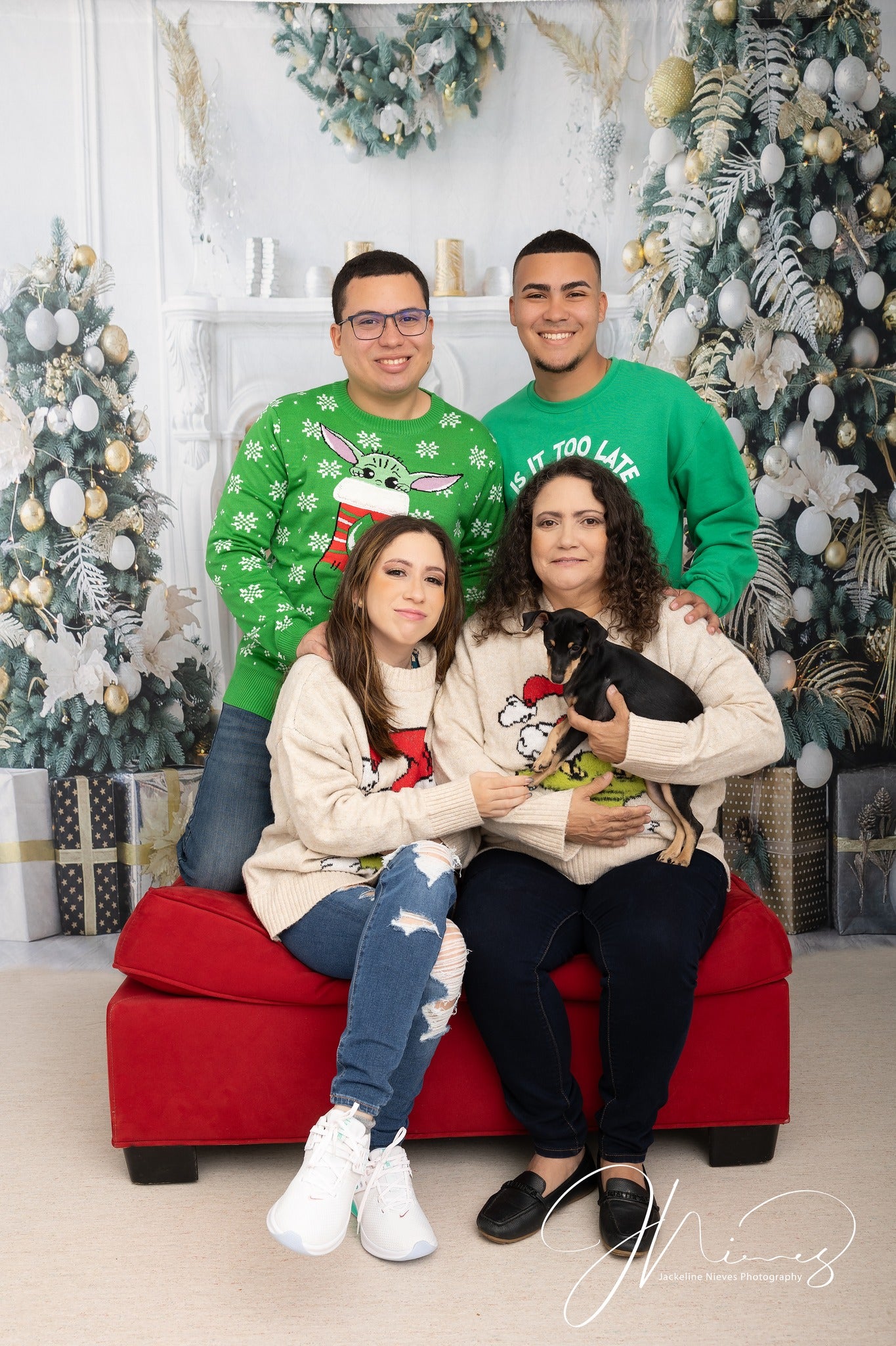 Weihnachts-Schnee-Raum-Dekor-Foto-Hintergründe KAT-57