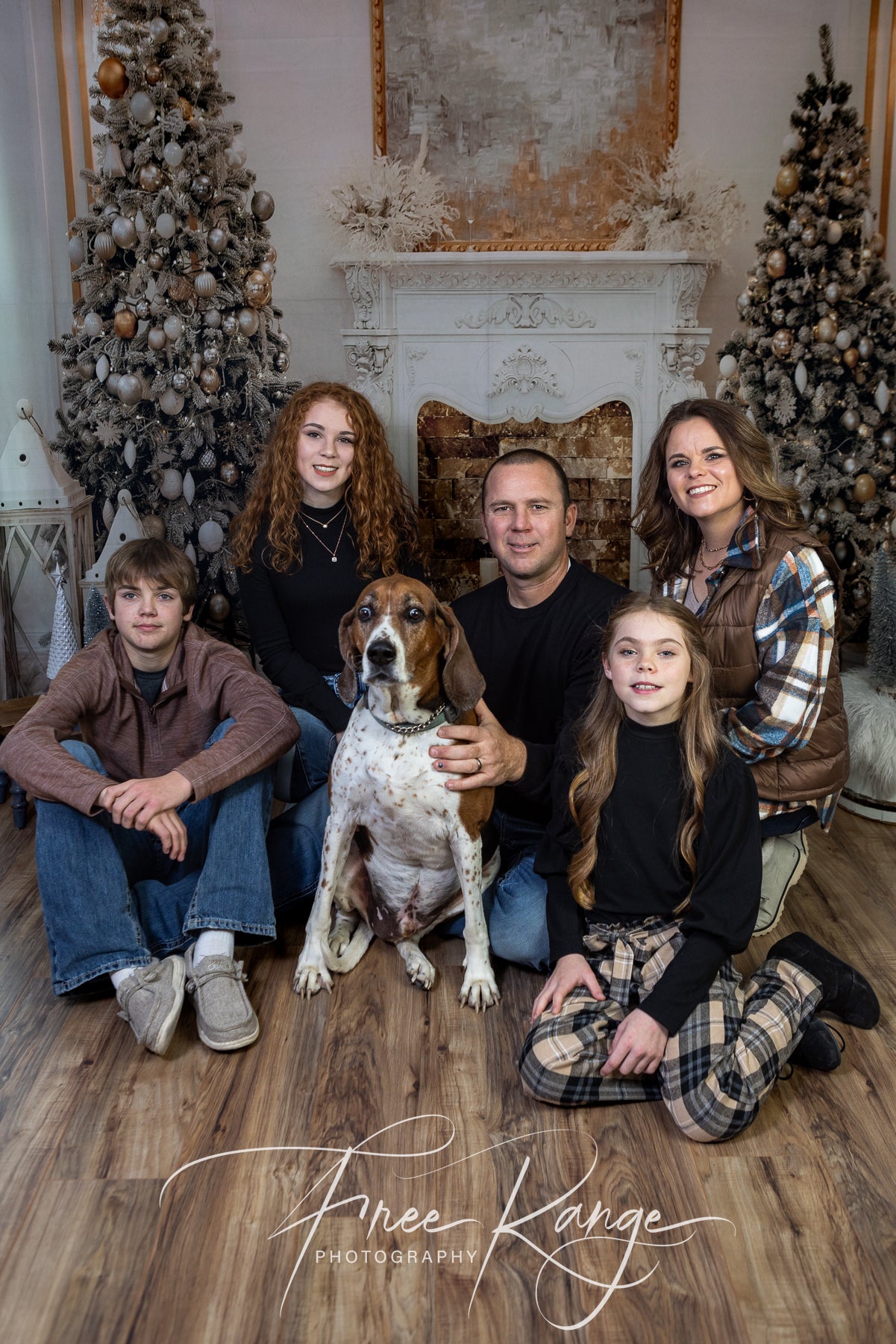 Weihnachtsfeiertags Fotografie Studio Hintergrund D816