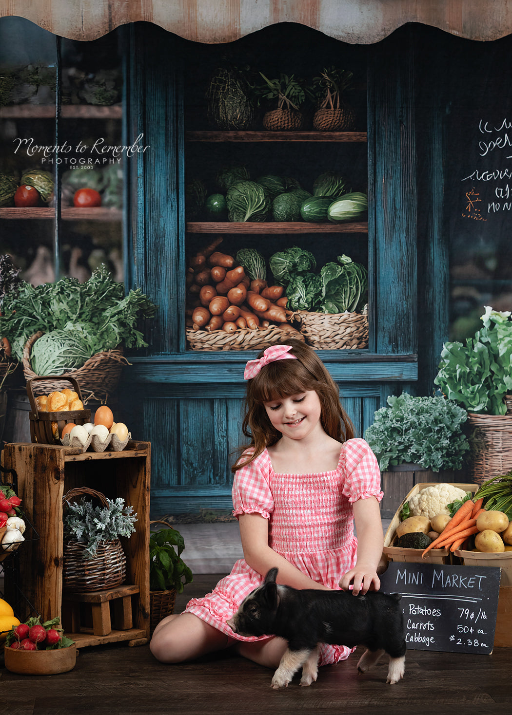 Frühling Fotohintergrund Rustikaler Lebensmittelhändler Bauernhof Fensterhintergrund LXX1-153