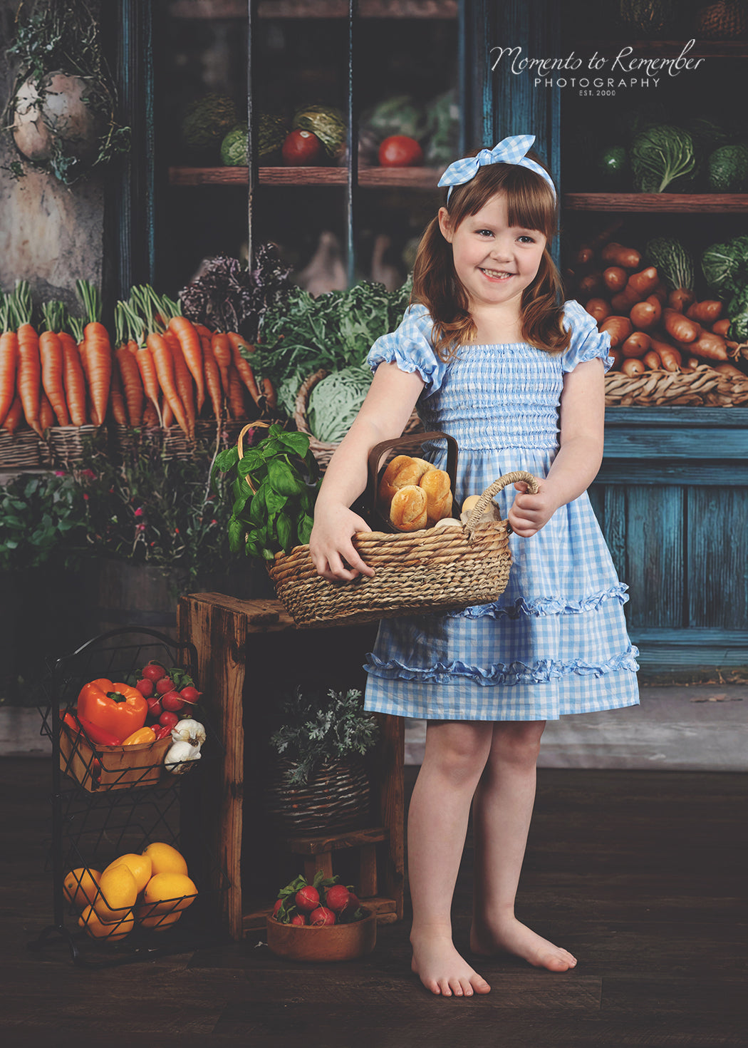 Frühling Fotohintergrund Rustikaler Lebensmittelhändler Bauernhof Fensterhintergrund LXX1-153