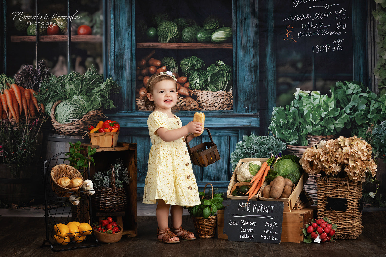 Frühling Fotohintergrund Rustikaler Lebensmittelhändler Bauernhof Fensterhintergrund LXX1-153