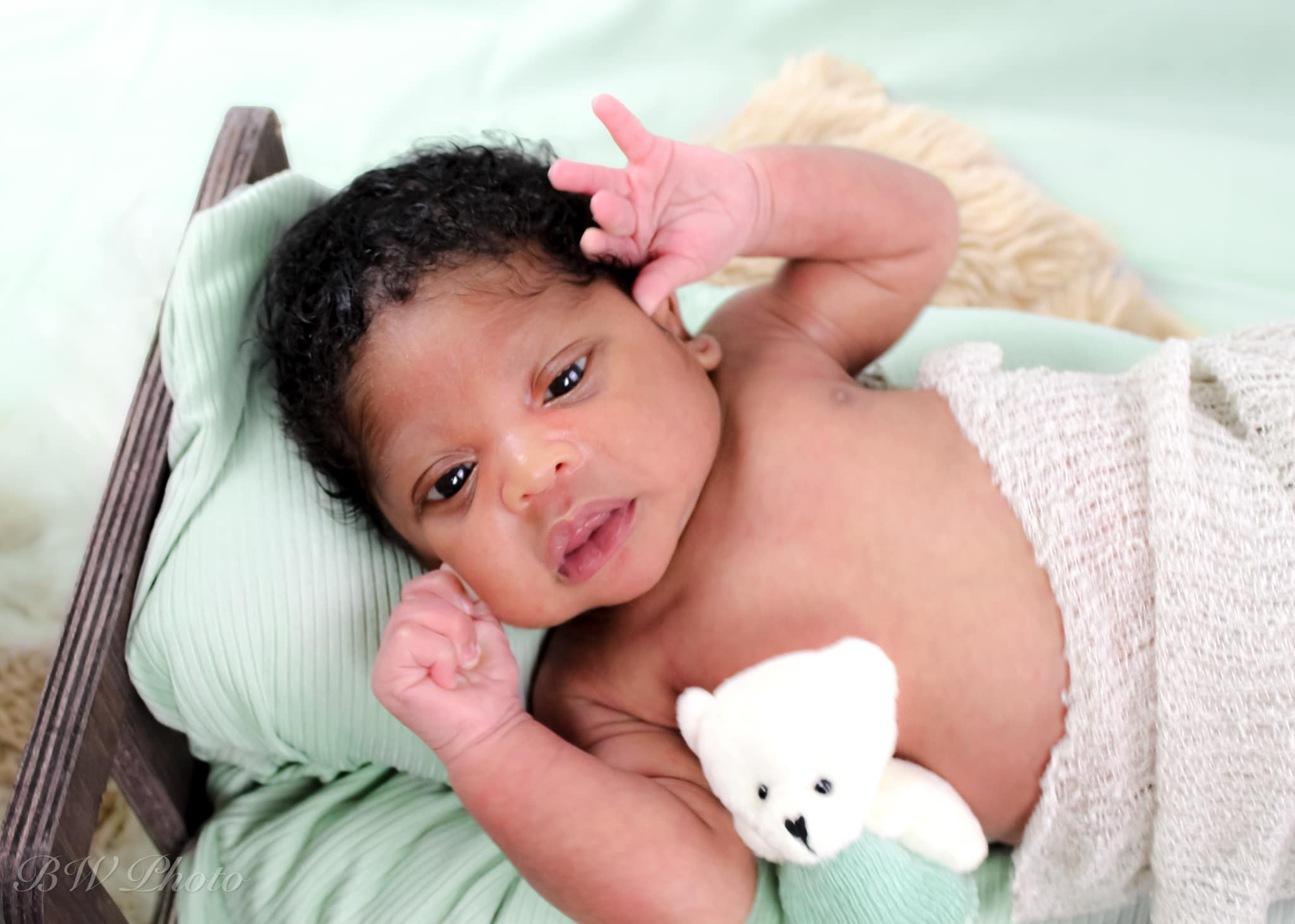 Einfarbiger staubiger Salbei-Fotografie-Hintergrund für Studio SC24