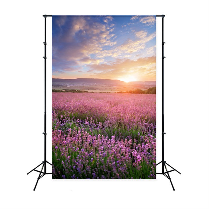 Blume Fotokulisse Golden Glow Lila Lavendel Kulisse BRP1-496