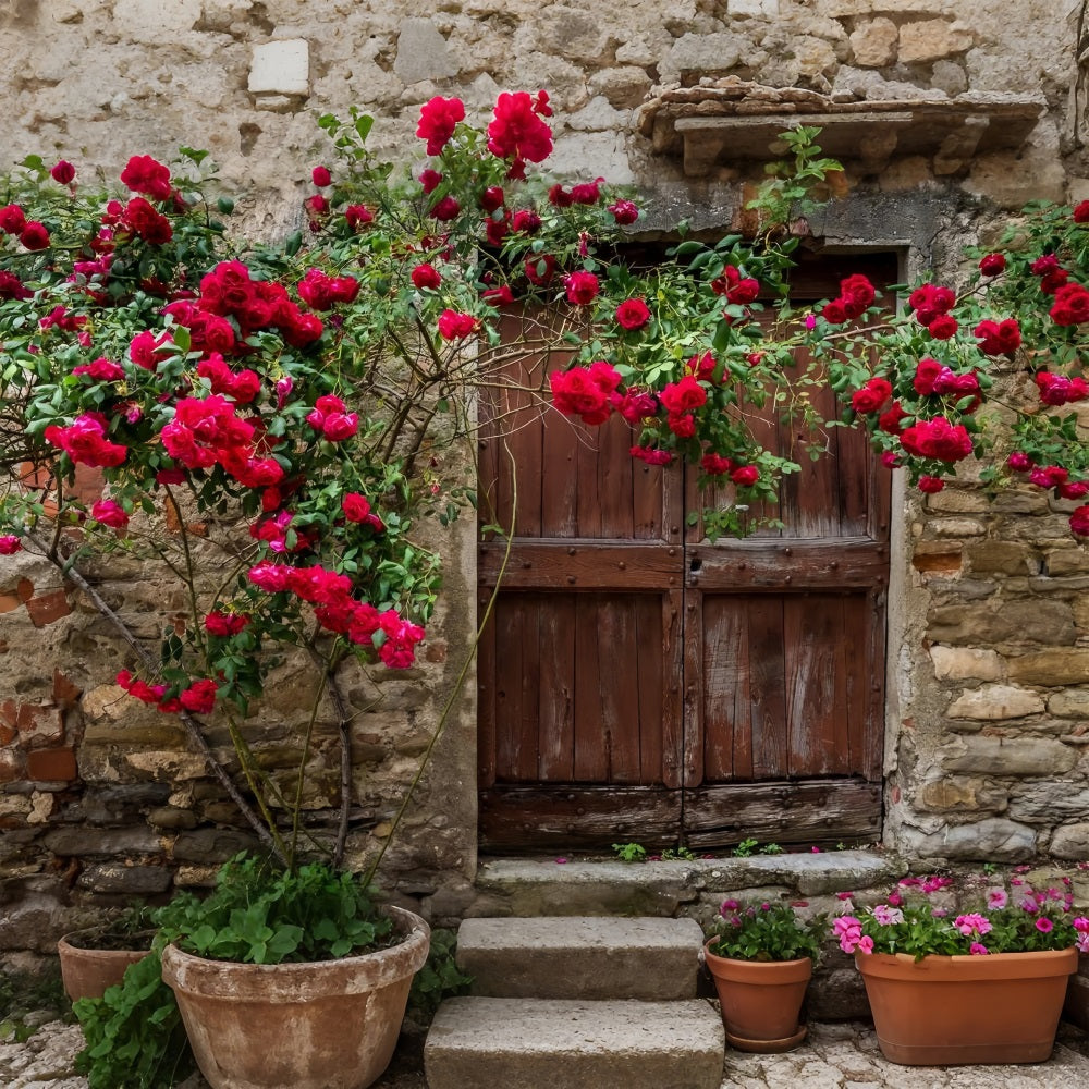 Blumen-Hintergrundbilder Zeitlose rote Tür-Rosen Hintergrund BRP1-518