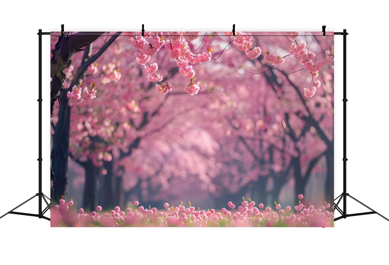 Blumen Fotohintergrund Kirschblütenweg Fotohintergrund BRP1-519