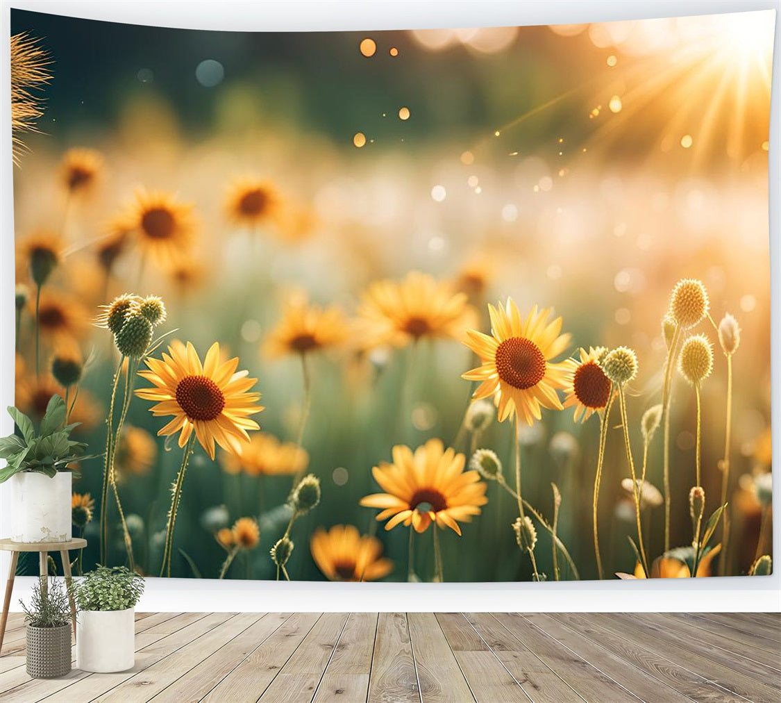 Blumige Fotohintergründe Sonnenschein Wildblumen Feld Hintergrund BRP1-520