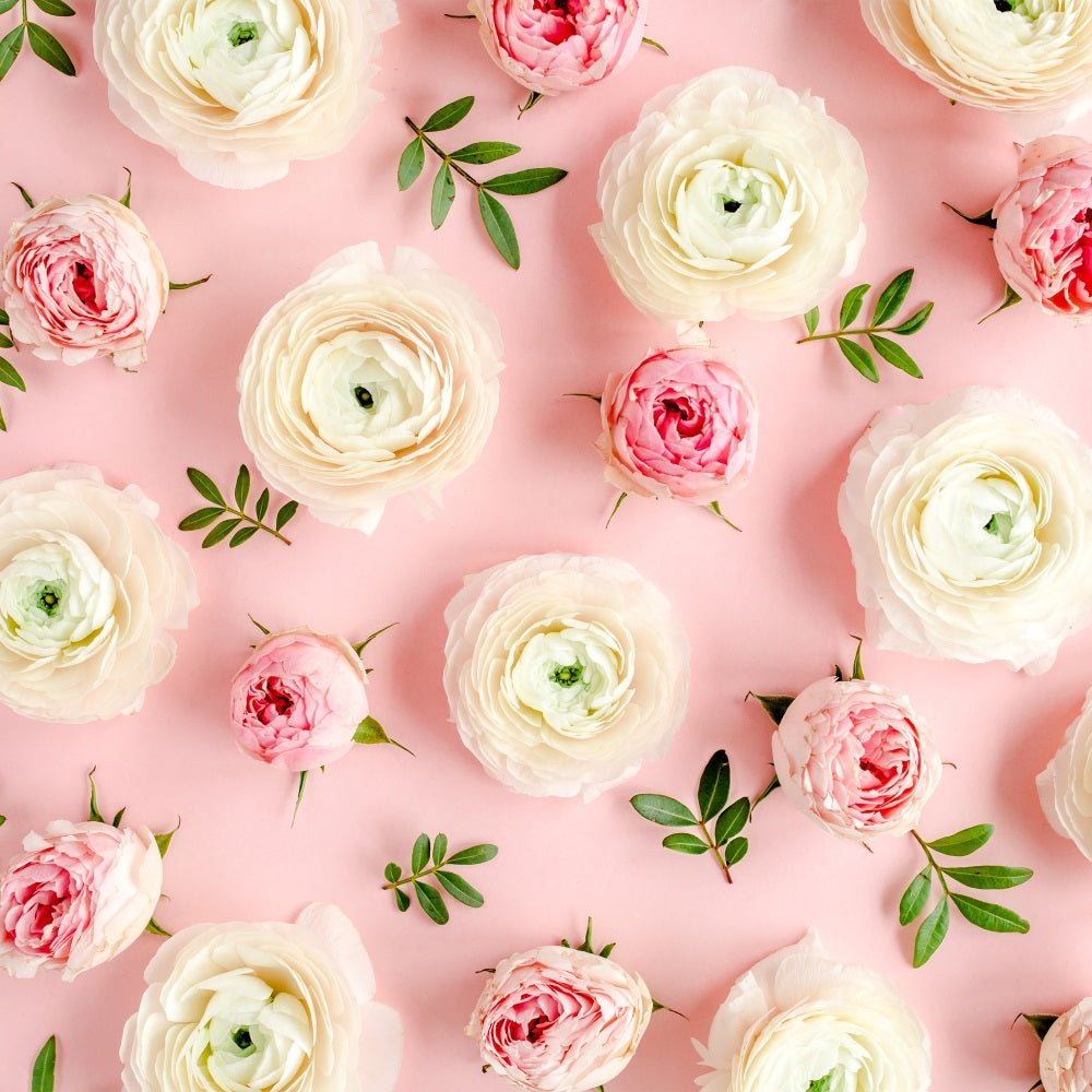 Blumen-Fotohintergrund Rosa Weiße Rosen Hintergrund BRP1-521