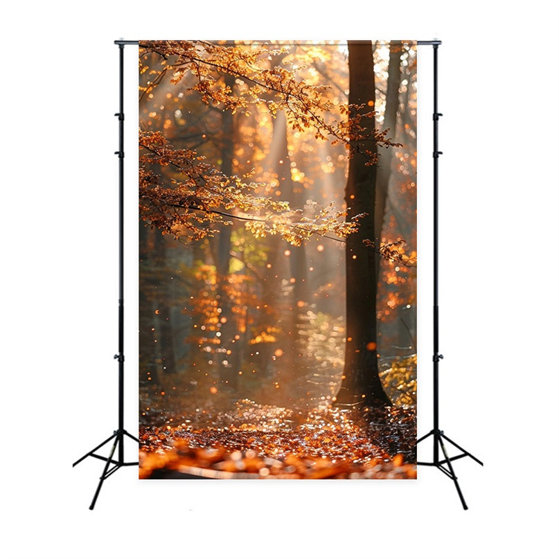 Herbst Fotokulissen Wald schimmernde Sonnenstrahlen Hintergrund BRP10-263