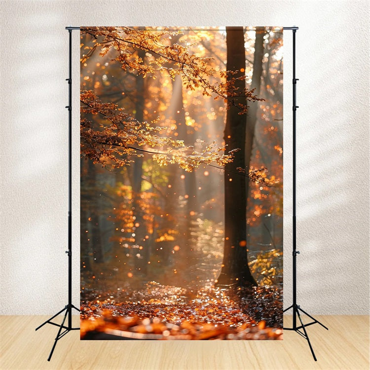 Herbst Fotokulissen Wald schimmernde Sonnenstrahlen Hintergrund BRP10-263