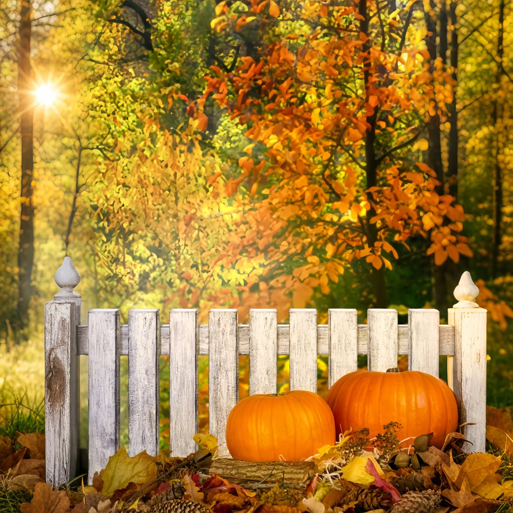 Herbst Fotohintergründe Rustikaler Zaun Kürbisse Hintergrund BRP10-266