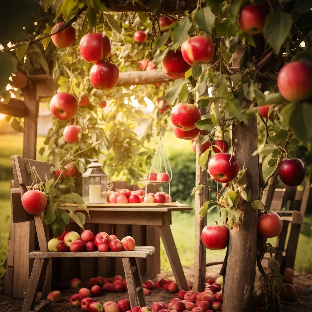 Herbst Ernte Hintergrund Obstgarten Äpfel Szene Hintergrund BRP10-267
