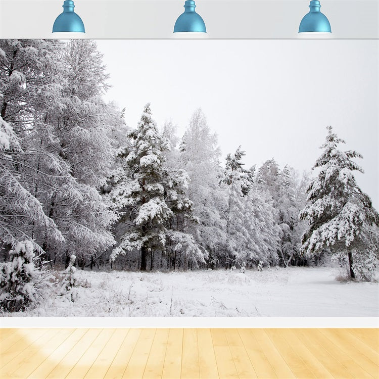 Winter Hintergrund Verschneite Landschaft Eisige Zweige Hintergrund BRP11-4