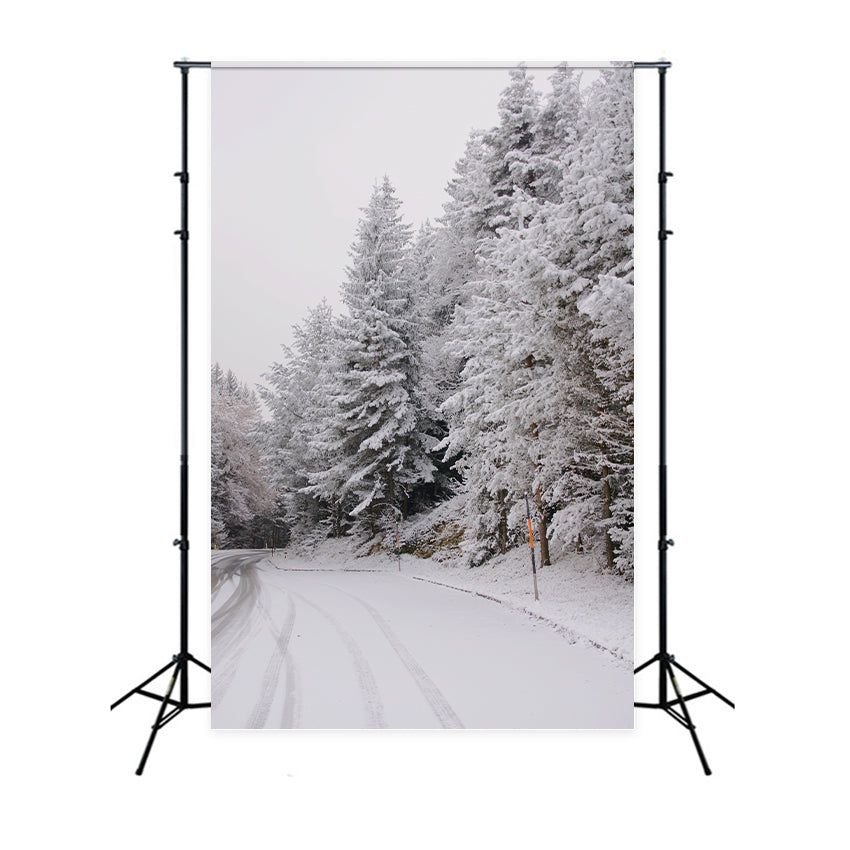 Winter Wonderland Hintergrund Pathway Snow-Capped Pines Hintergrund BRP11-69