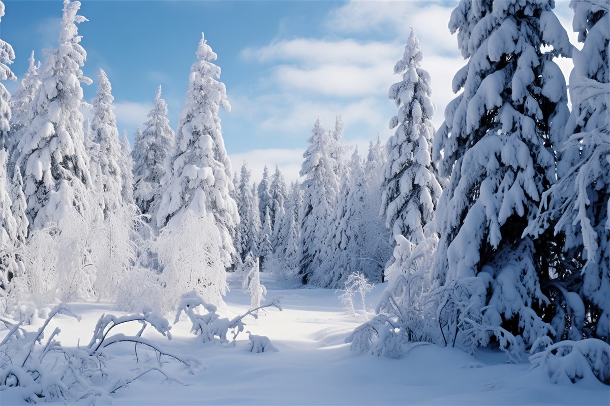 Winterszenen-Hintergrund Gefrorene Kiefern Blauer Himmel Hintergrund BRP11-7