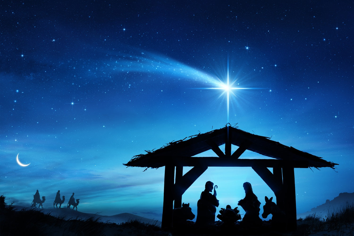 Krippe Himmel Hintergrund Heilige Szene Krippe Sternenhimmel Hintergrund BRP12-444