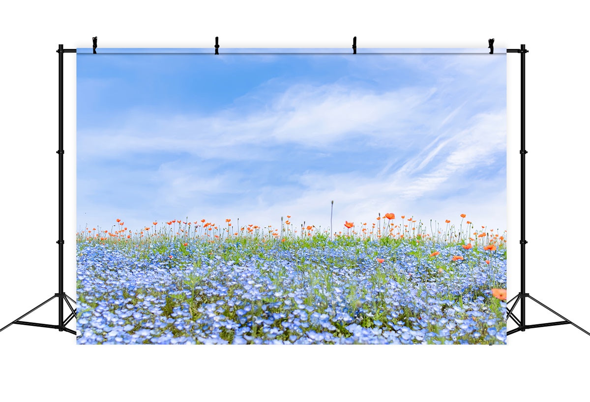 Floral Backdrops Für Fotografie Blaue Wildblumen Wiese Himmel Backdrop BRP2-95