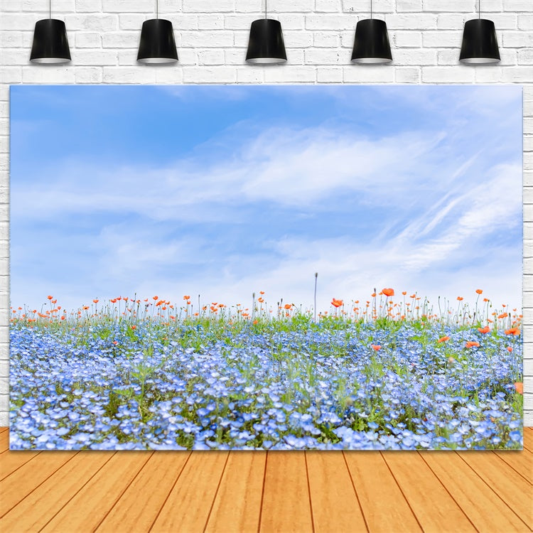 Floral Backdrops Für Fotografie Blaue Wildblumen Wiese Himmel Backdrop BRP2-95