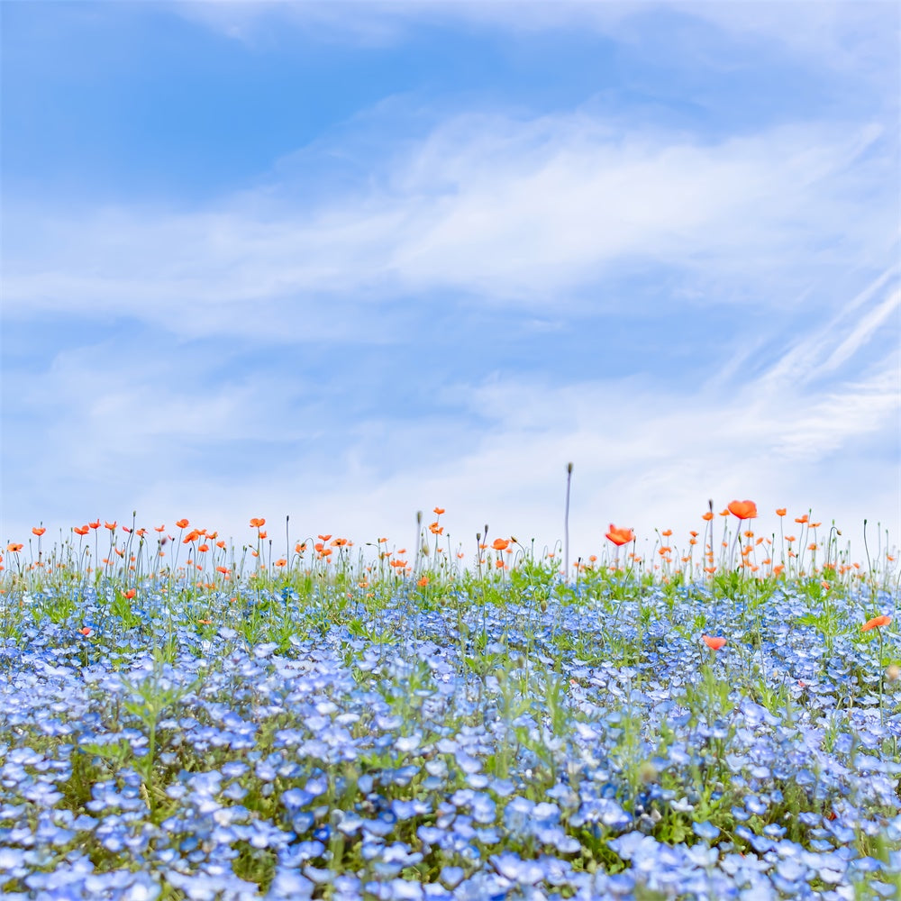 Floral Backdrops Für Fotografie Blaue Wildblumen Wiese Himmel Backdrop BRP2-95