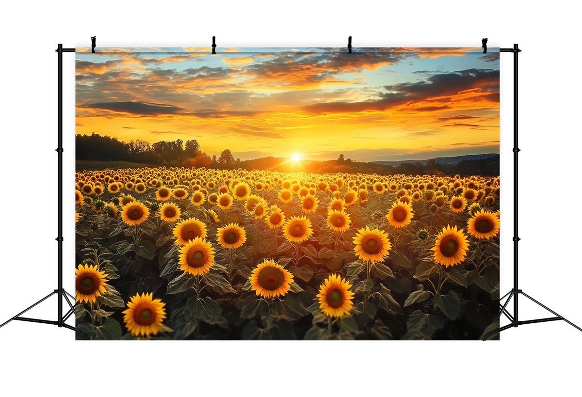 Sonnenuntergang Fotokulisse Feuerhimmel Sonnenblume Herbstkulisse BRP57-172