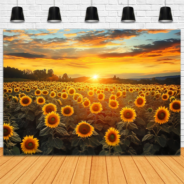 Sonnenuntergang Fotokulisse Feuerhimmel Sonnenblume Herbstkulisse BRP57-172
