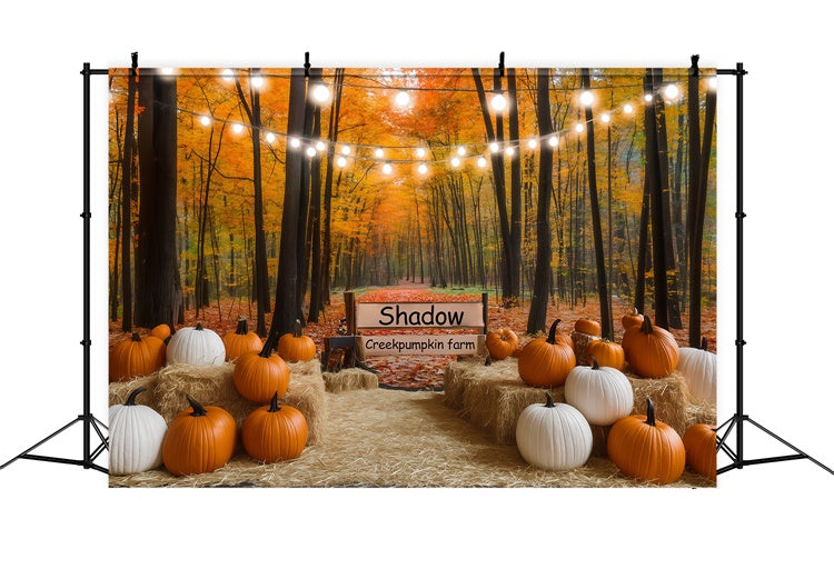Herbst Wald Backdrop Lichter Kürbis Pfad Fotohintergrund BRP57-177